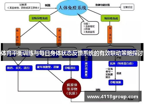体育平衡训练与每日身体状态反馈系统的有效联动策略探讨